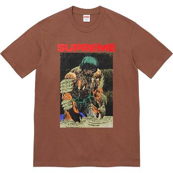 Supreme Ronin Tee T Shirts Brown | USA240ZG