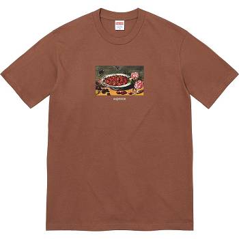 Supreme Strawberries Tee T Shirts Brown | USA251TV